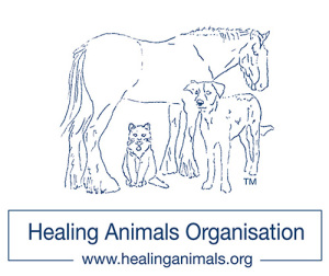 healing-animals-logo